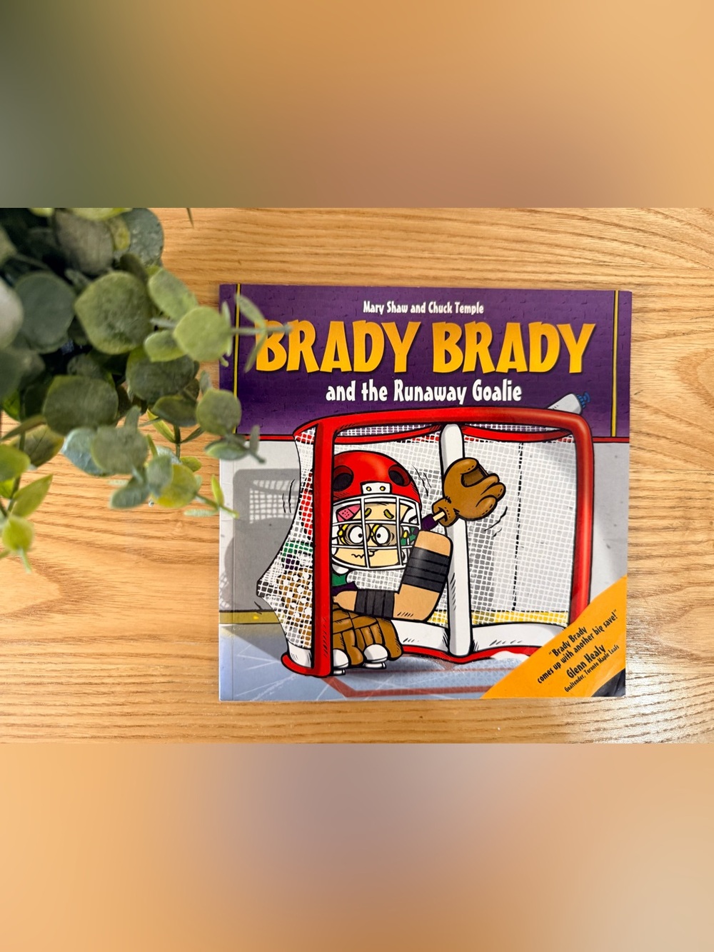 🌿10/$25 • Brady Brady & The Runaway Goalie Paperback